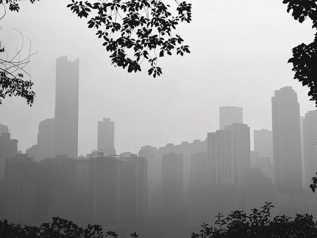 福鼎根雕工艺品选购指南:胜铭根艺木雕摆件材质与工艺对比